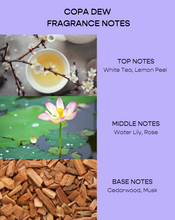 Travel Gift Set (Worth £40)